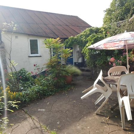 The Royal Oak Inn Dunsford Exterior photo