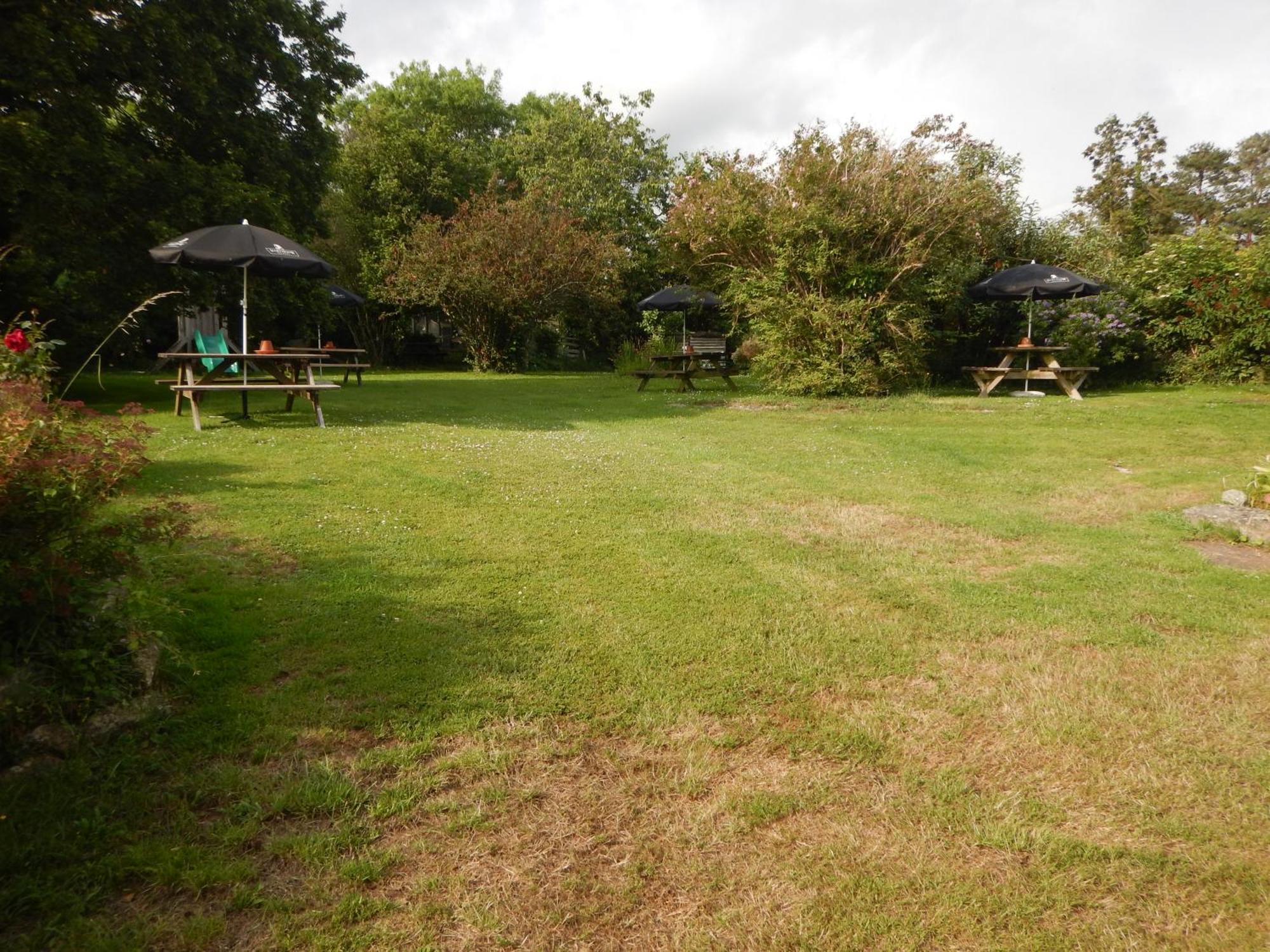 The Royal Oak Inn Dunsford Exterior photo